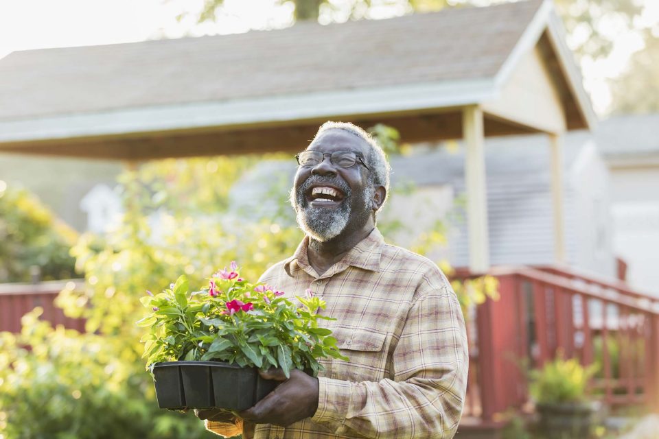 Laughing elderly man with gray hair and goatee holding flowers in black nursery pots