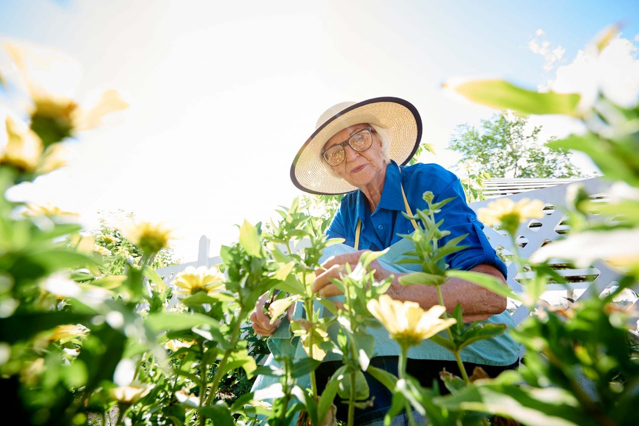 Elderly woman wearing a woven tan sun hat with brown rim and blue blouse gardening