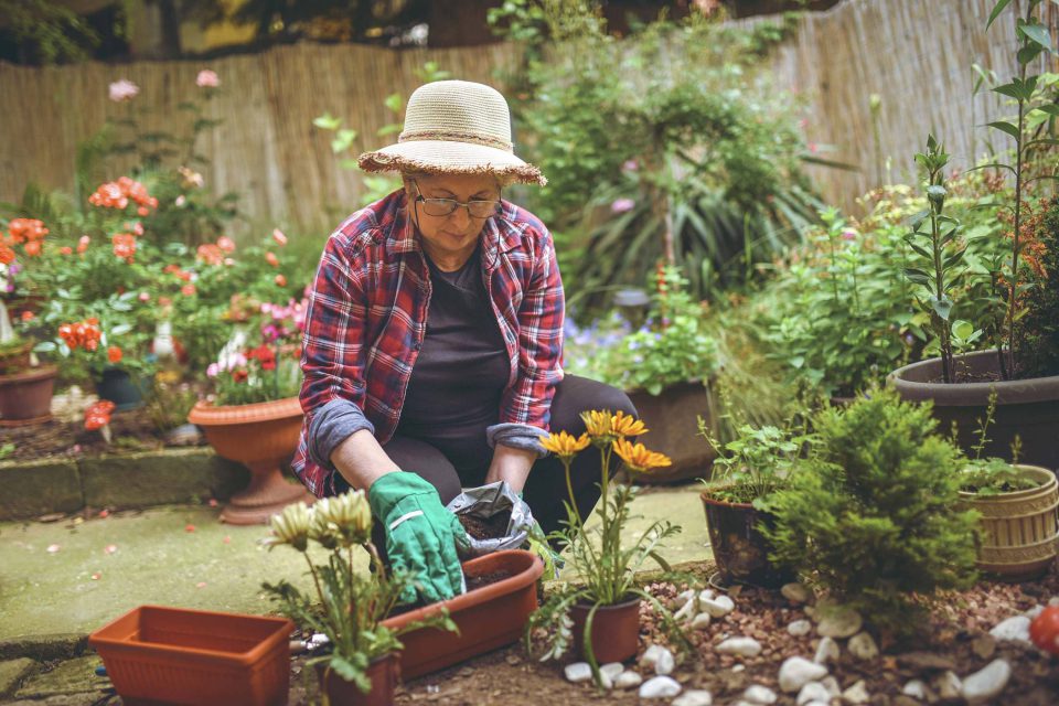 Older woman wearing glasses, a fringed straw cap, plaid shirt with sleeves rolled up, and green gardening gloves is packing dirt into a pot surrounded by other potted flowers and plants