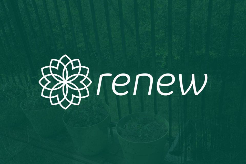 White text renew logo over green background with potted plants